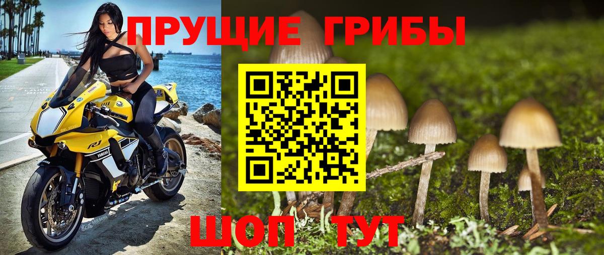 Галлюциногенные грибы MAGIC MUSHROOMS  Галлюциногенные грибы GOLDEN TEACHER  Вход с VPN  Троицк 